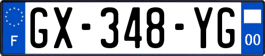 GX-348-YG
