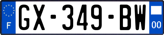 GX-349-BW