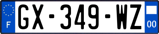 GX-349-WZ