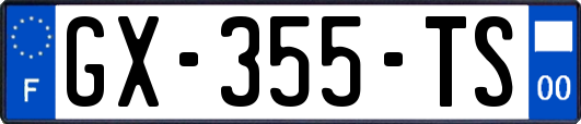 GX-355-TS