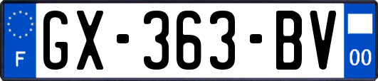 GX-363-BV