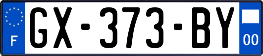 GX-373-BY