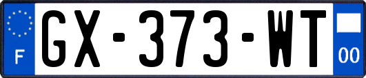 GX-373-WT