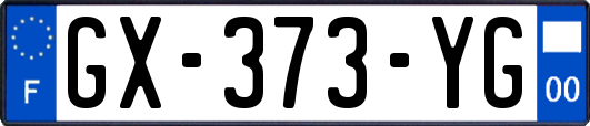 GX-373-YG