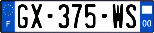 GX-375-WS