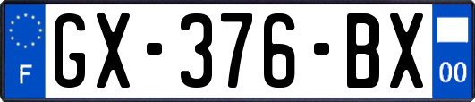 GX-376-BX