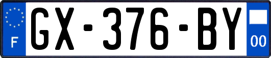 GX-376-BY