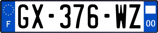 GX-376-WZ