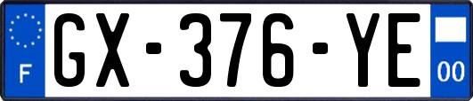 GX-376-YE