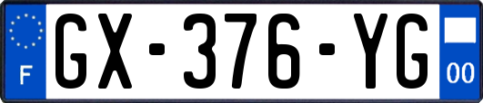 GX-376-YG