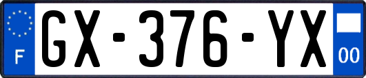 GX-376-YX