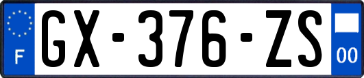 GX-376-ZS