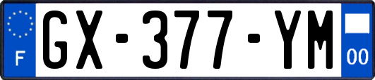 GX-377-YM