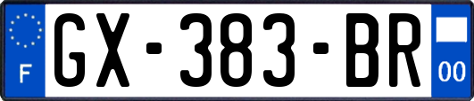 GX-383-BR