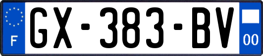 GX-383-BV