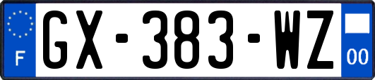 GX-383-WZ