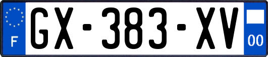 GX-383-XV