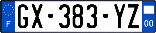 GX-383-YZ