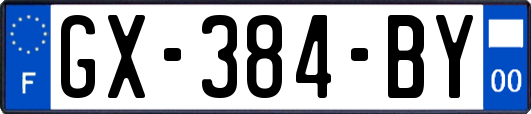 GX-384-BY