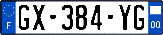 GX-384-YG
