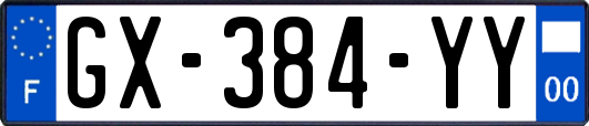 GX-384-YY