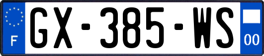 GX-385-WS