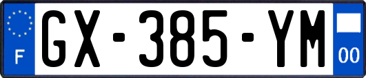 GX-385-YM