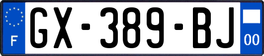 GX-389-BJ