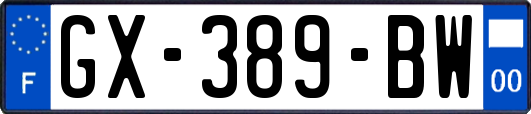 GX-389-BW