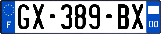 GX-389-BX