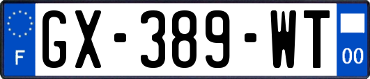 GX-389-WT
