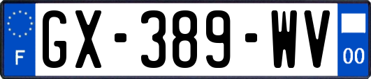 GX-389-WV