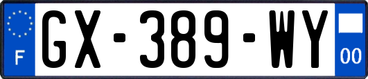 GX-389-WY
