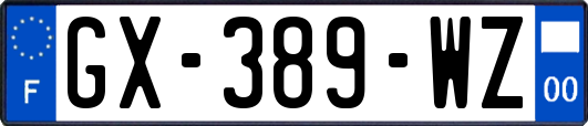 GX-389-WZ