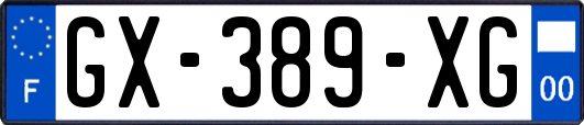 GX-389-XG