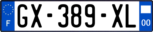 GX-389-XL