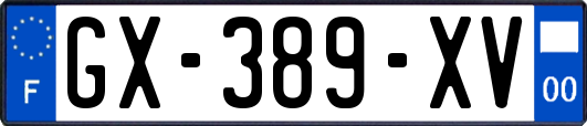 GX-389-XV
