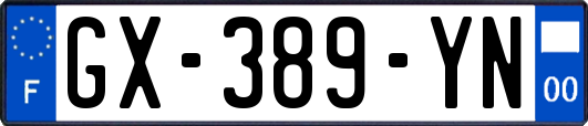 GX-389-YN