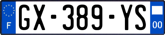 GX-389-YS