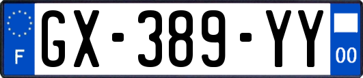 GX-389-YY