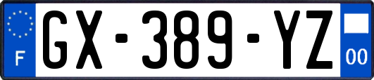 GX-389-YZ