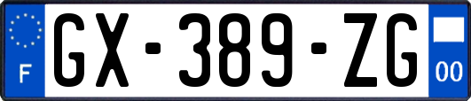 GX-389-ZG