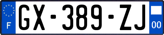 GX-389-ZJ