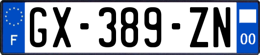 GX-389-ZN