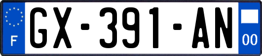 GX-391-AN