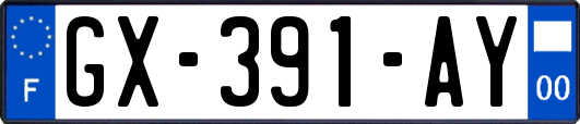 GX-391-AY