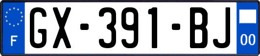 GX-391-BJ