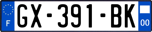 GX-391-BK