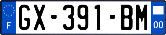 GX-391-BM