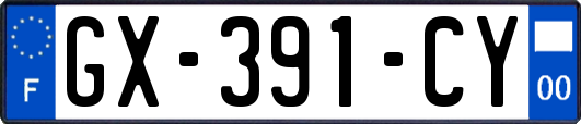 GX-391-CY
